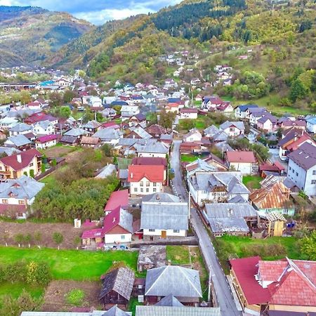 Pensiunea Axenia Ale Vişeu de Sus Dış mekan fotoğraf