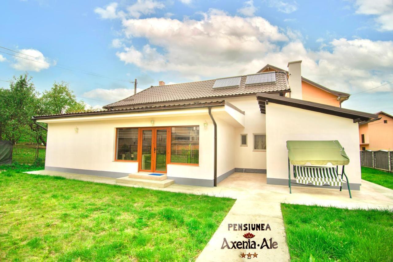 Pensiunea Axenia Ale Vişeu de Sus Dış mekan fotoğraf