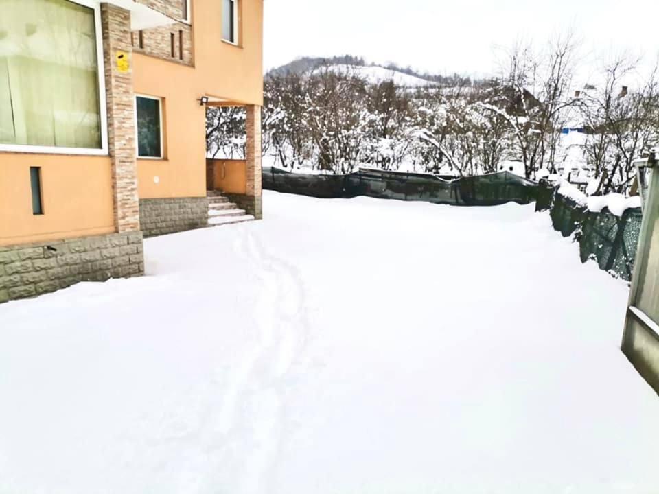 Pensiunea Axenia Ale Vişeu de Sus Dış mekan fotoğraf